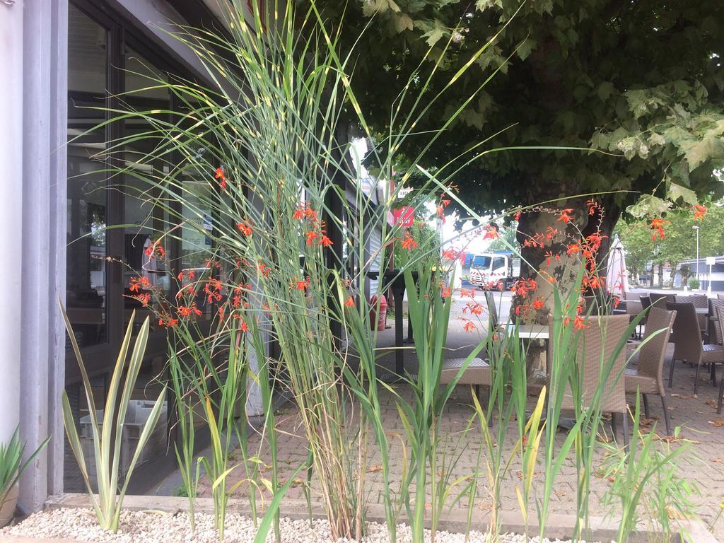 La Hourquie Cafe Ξενοδοχείο Morlaas Εξωτερικό φωτογραφία